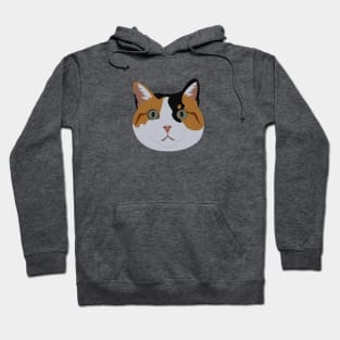 Cheeto The Calico Cat Hoodie